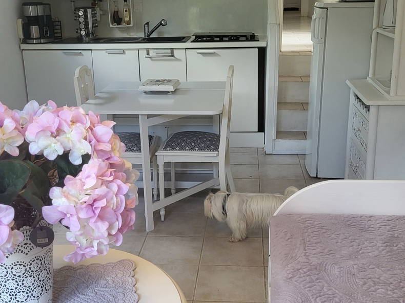 Chambre Chez L'habitant Les Aires 383592-2