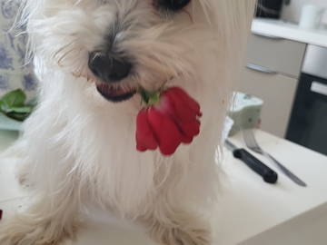 Chambre Chez L'habitant Les Aires 383592-8