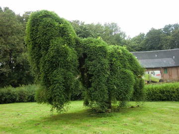 Logement Entier Beauquesne 239339-11