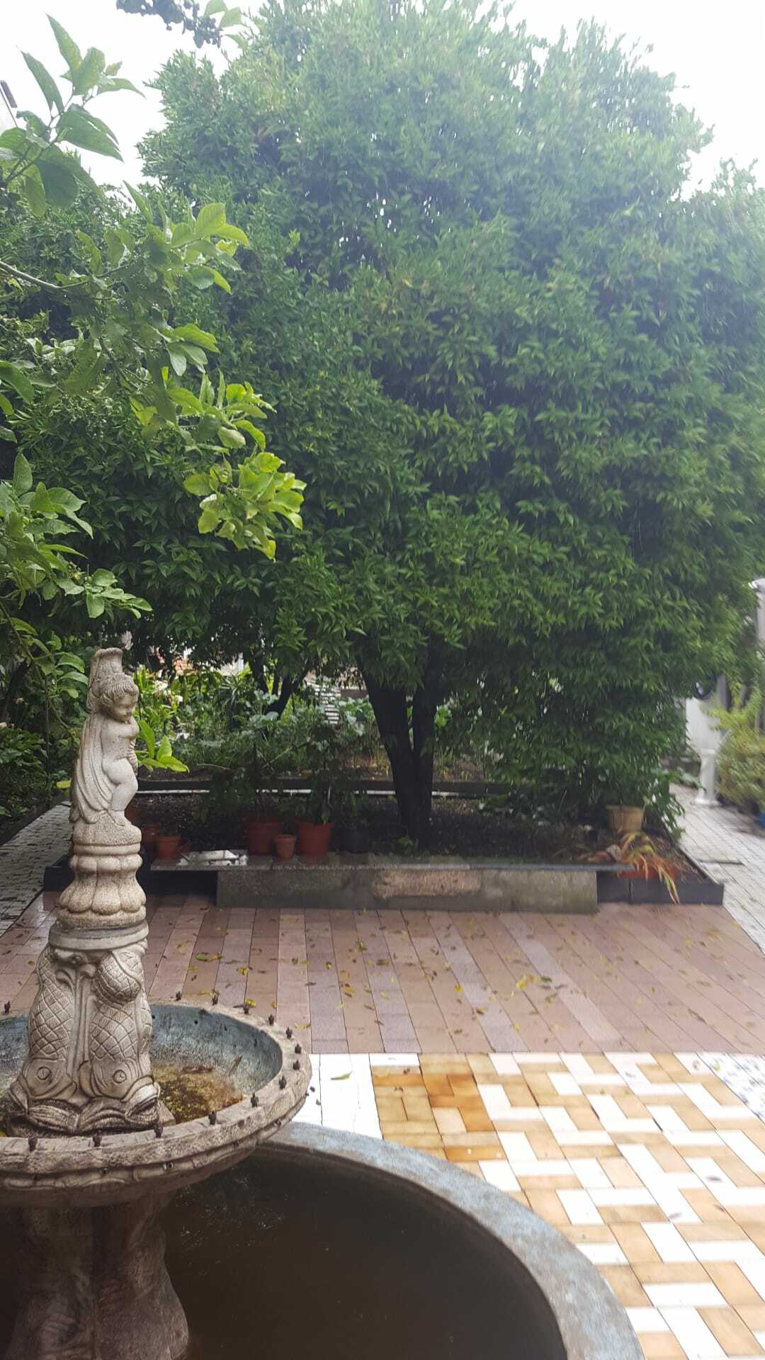 Toda La Casa Porto 254489