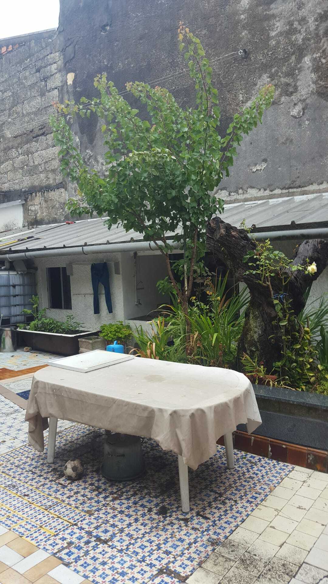 Toda La Casa Porto 254489