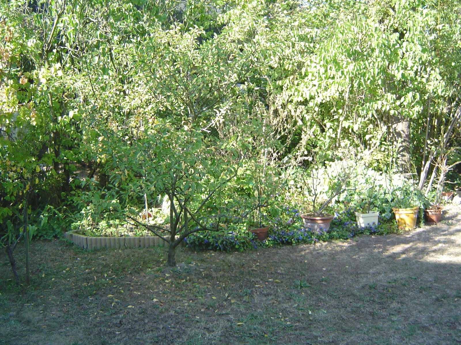Kotimajoitus Livry-Gargan 67828