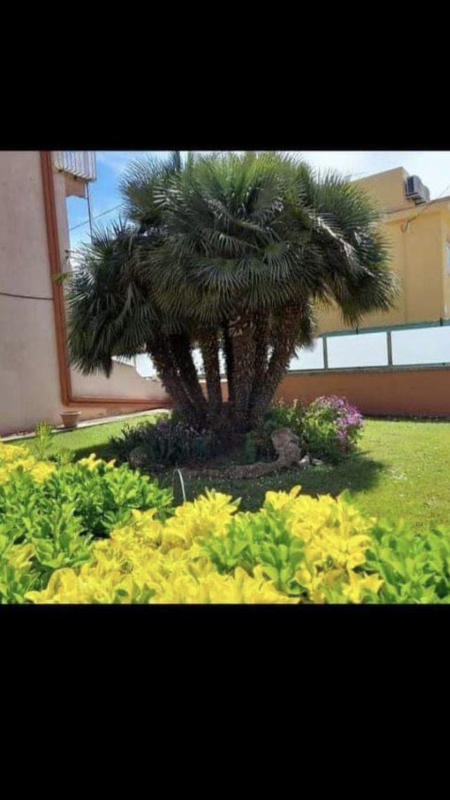 Homestay Els Griells 357114