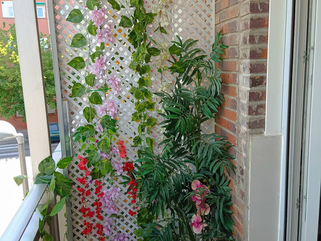 Entire Home Madrid 257806-1