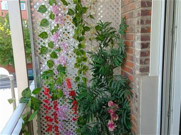 Logement Entier Madrid 257806-1