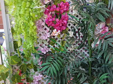 Logement Entier Madrid 257806-5