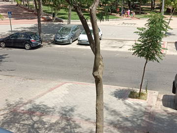 Logement Entier Madrid 257806-13