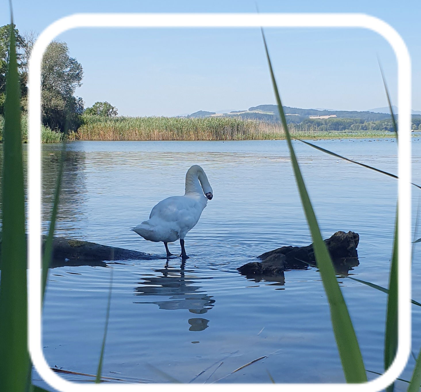 Ganz Haus Cheyres-Châbles 646831