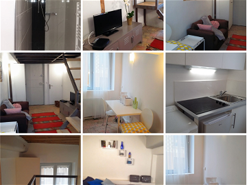 Room For Rent Lyon 160300