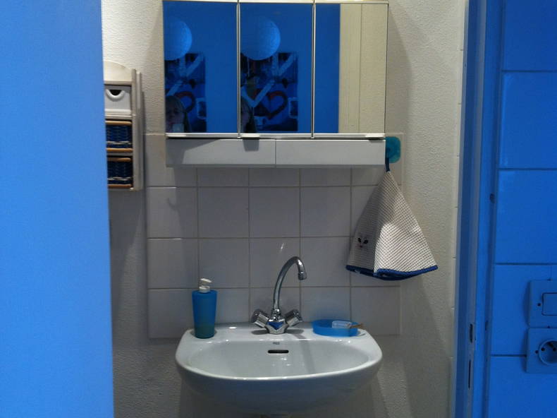 Homestay Caluire-et-Cuire 115697-4