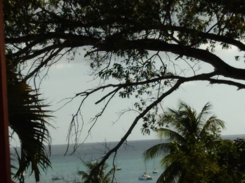 Entire Home Sainte-Anne 268265-3