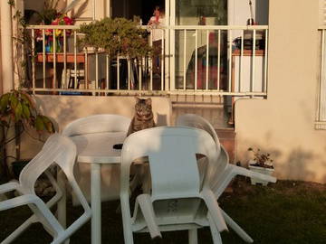 Ganzes Haus Sanary-sur-Mer 42233-3