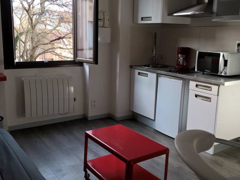 Entire Home Toulouse 161861-2