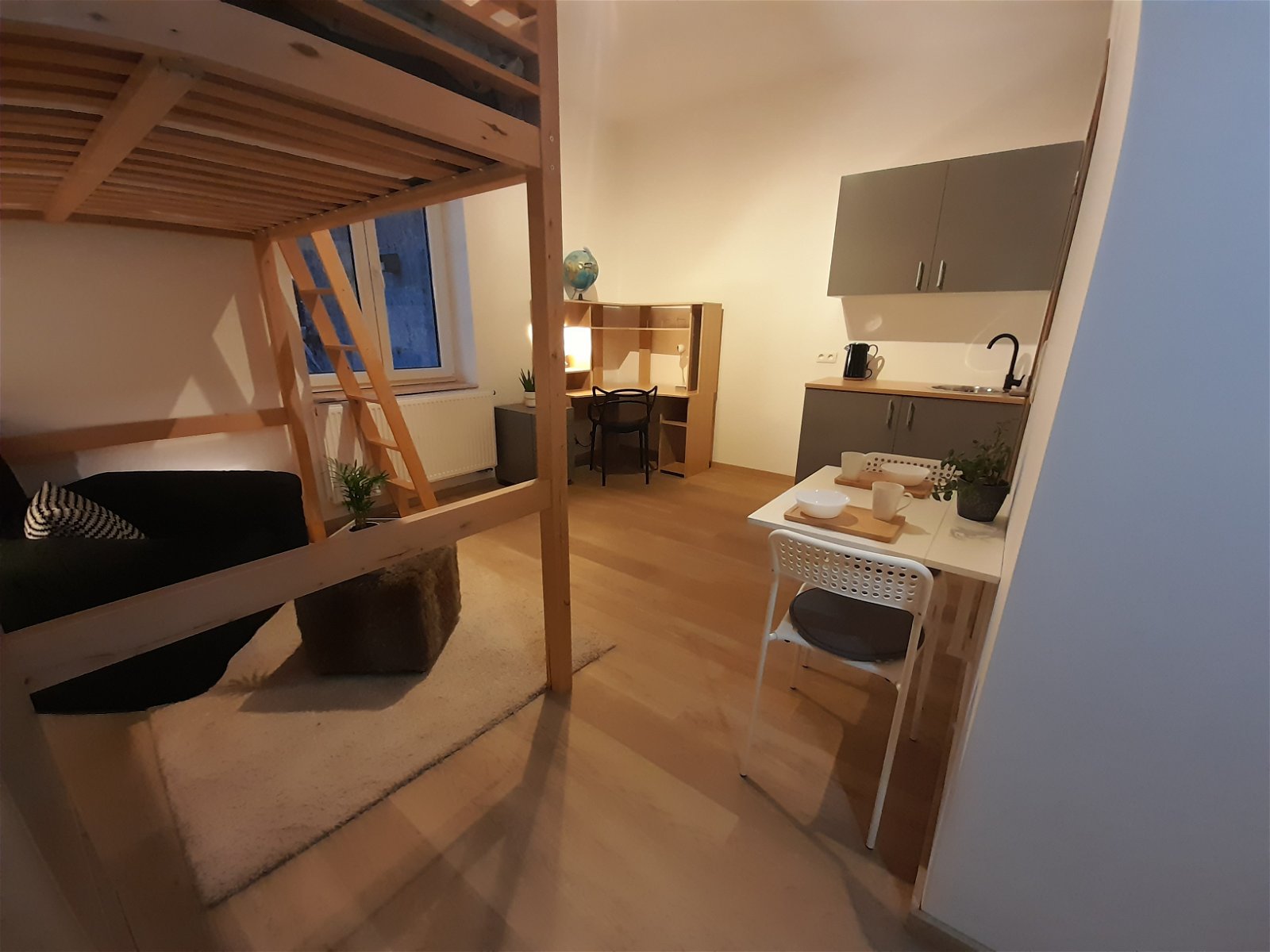 Colocation Charleroi 258354