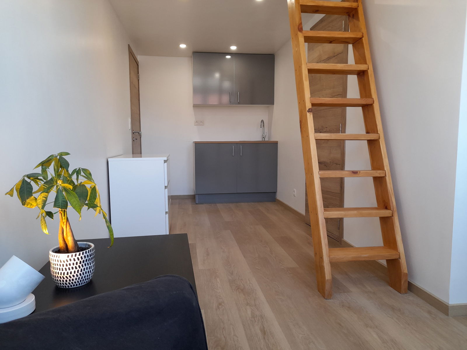 Colocation Charleroi 259679
