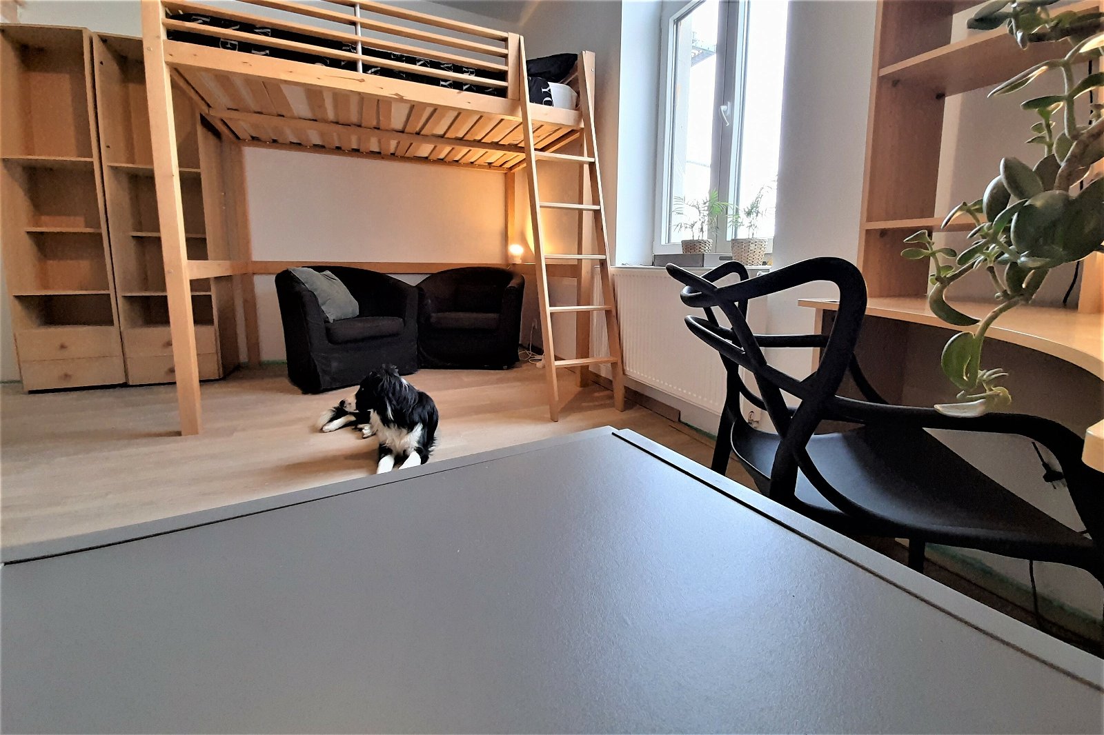 Colocation Charleroi 259325