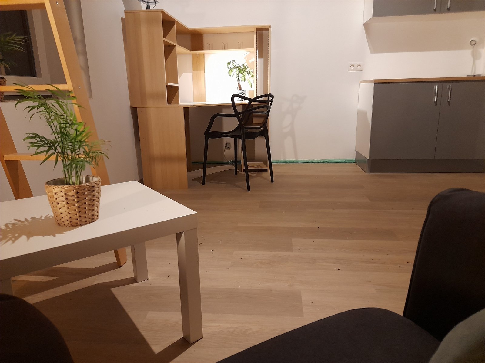 Colocation Charleroi 259325