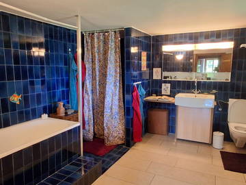 Chambre chez l'habitant à louer à La Brillaz - photo 3 : salle de bain-3