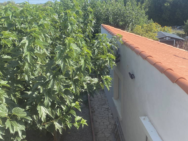 Homestay Béziers 412859