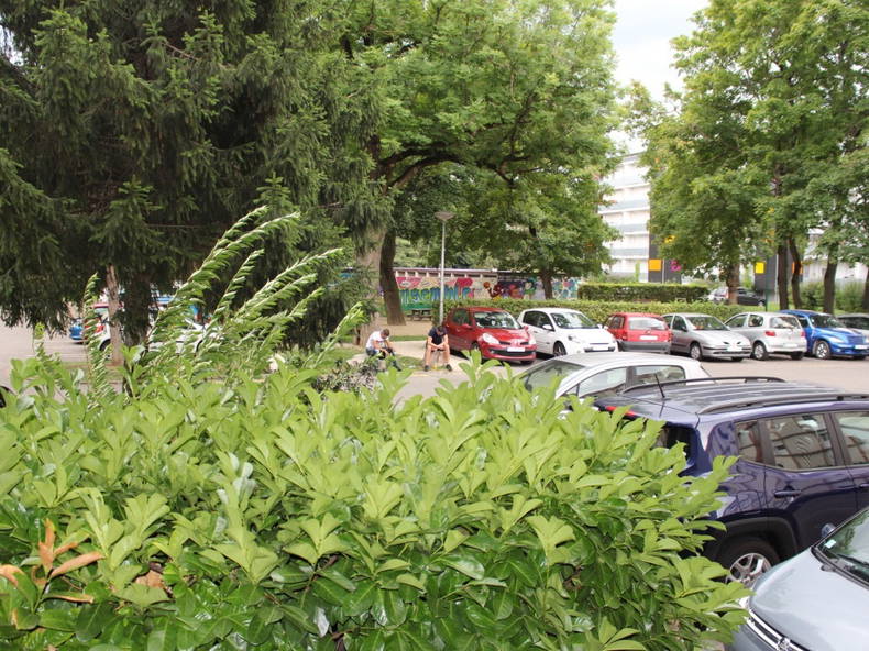 Logement Entier Saint-Louis 257816-2