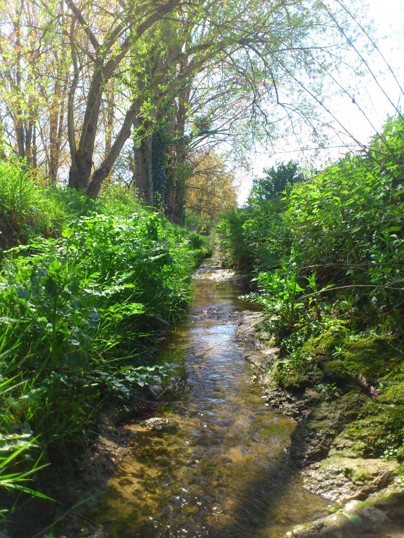 Logement Entier Pont-Saint-Martin 257504