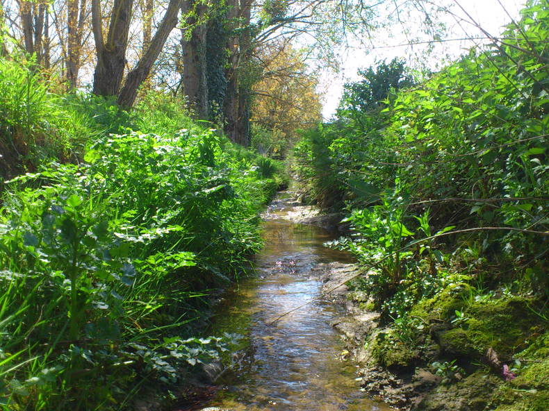 Ganzes Haus Pont-Saint-Martin 257504-5