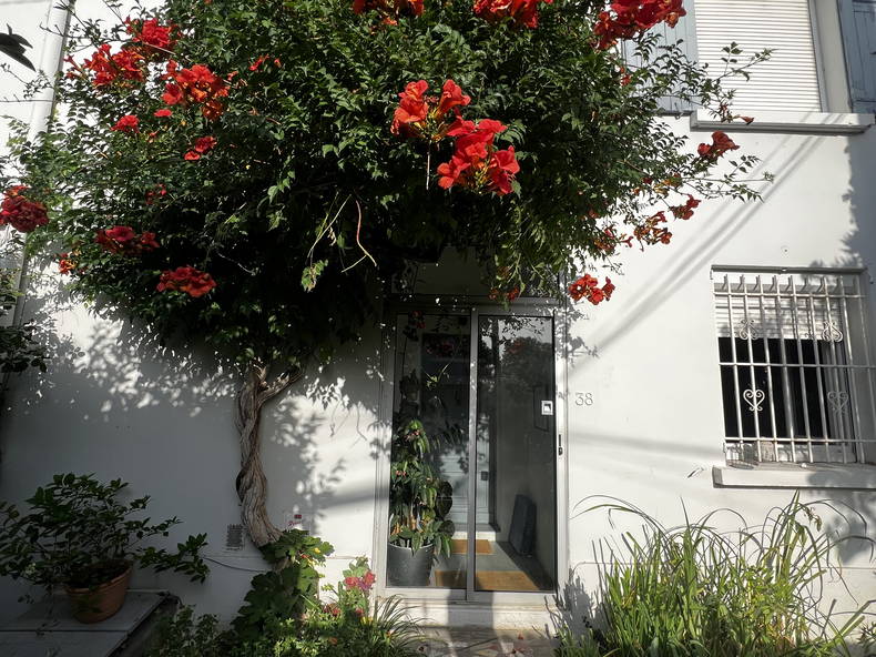 Quedarse En Casa Avignon 170262-2