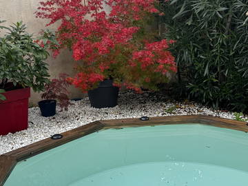 Chambre Chez L'habitant Avignon 170262-13