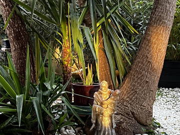 Chambre Chez L'habitant Avignon 170262-1