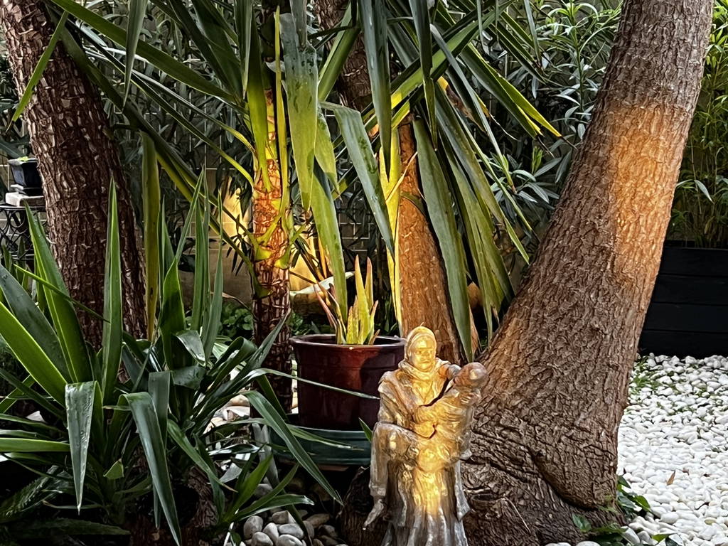 Quedarse En Casa Avignon 170262-1