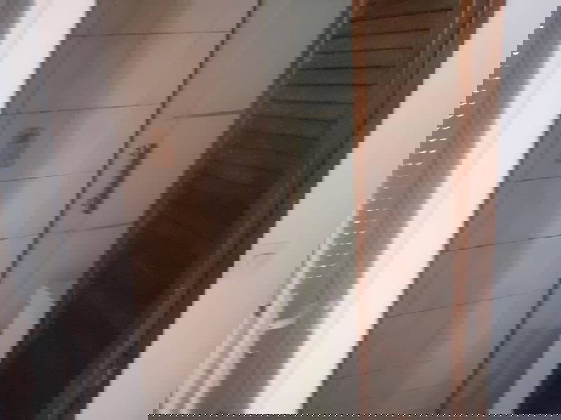 Colocation Louvres 267988-4