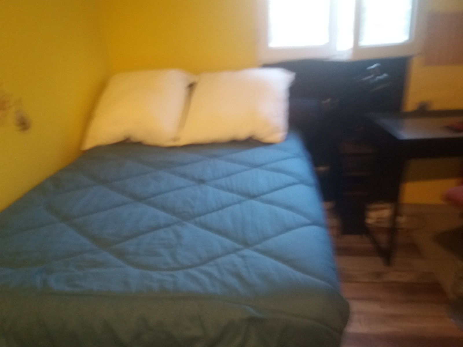 Logement Entier Pont-Évêque 670991