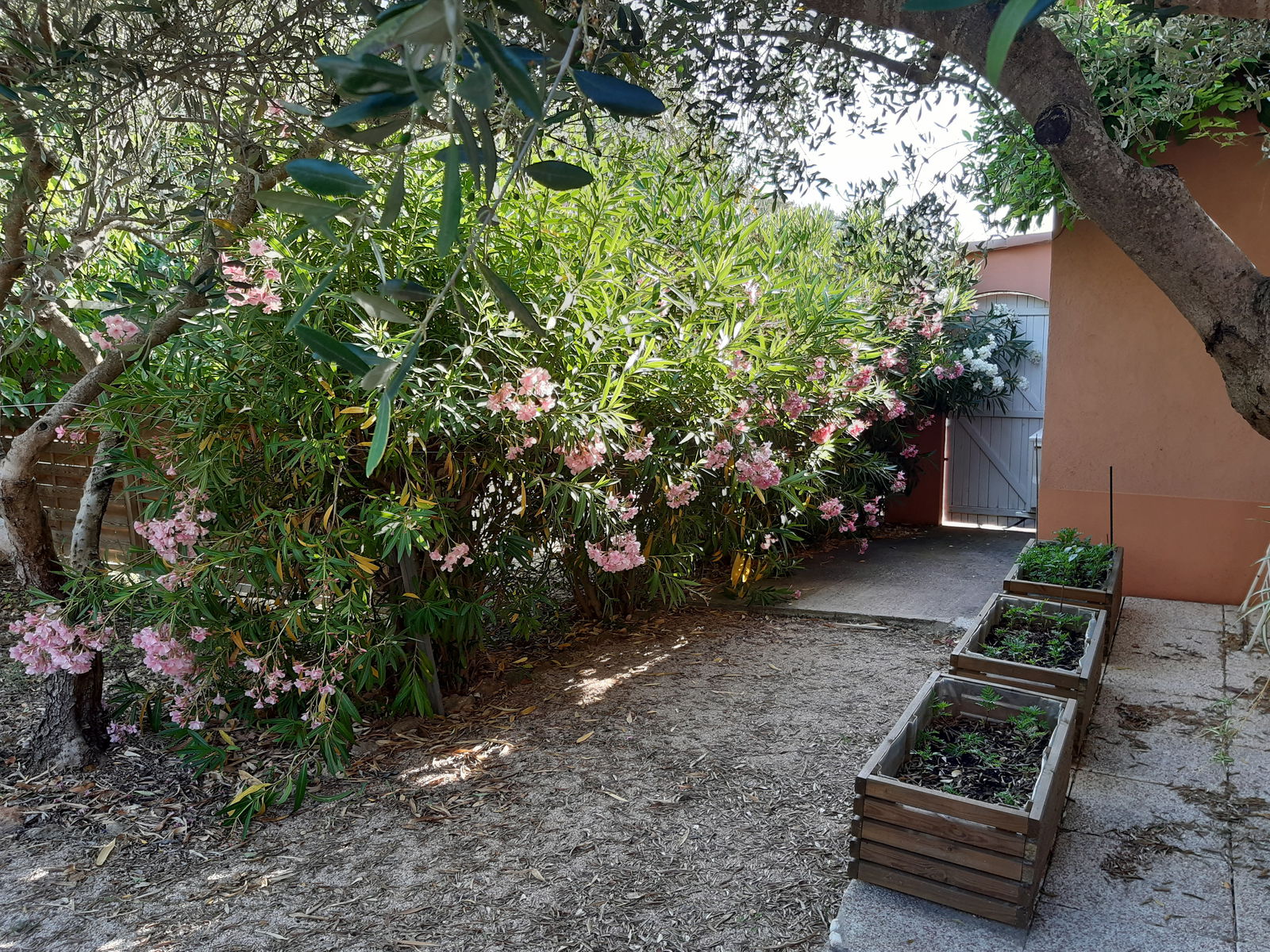 Oberoende Studio Carcès 250470