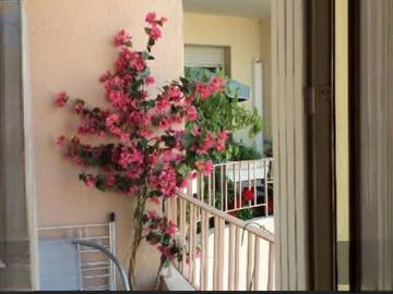 Entire Home Vallauris 53000-8