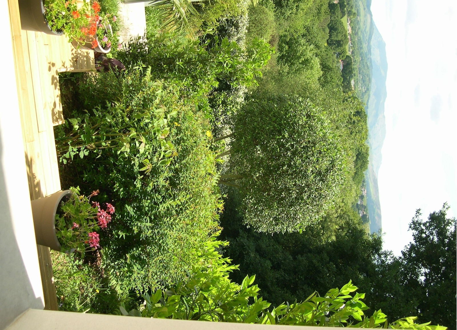 Logement Entier Larressore 87437