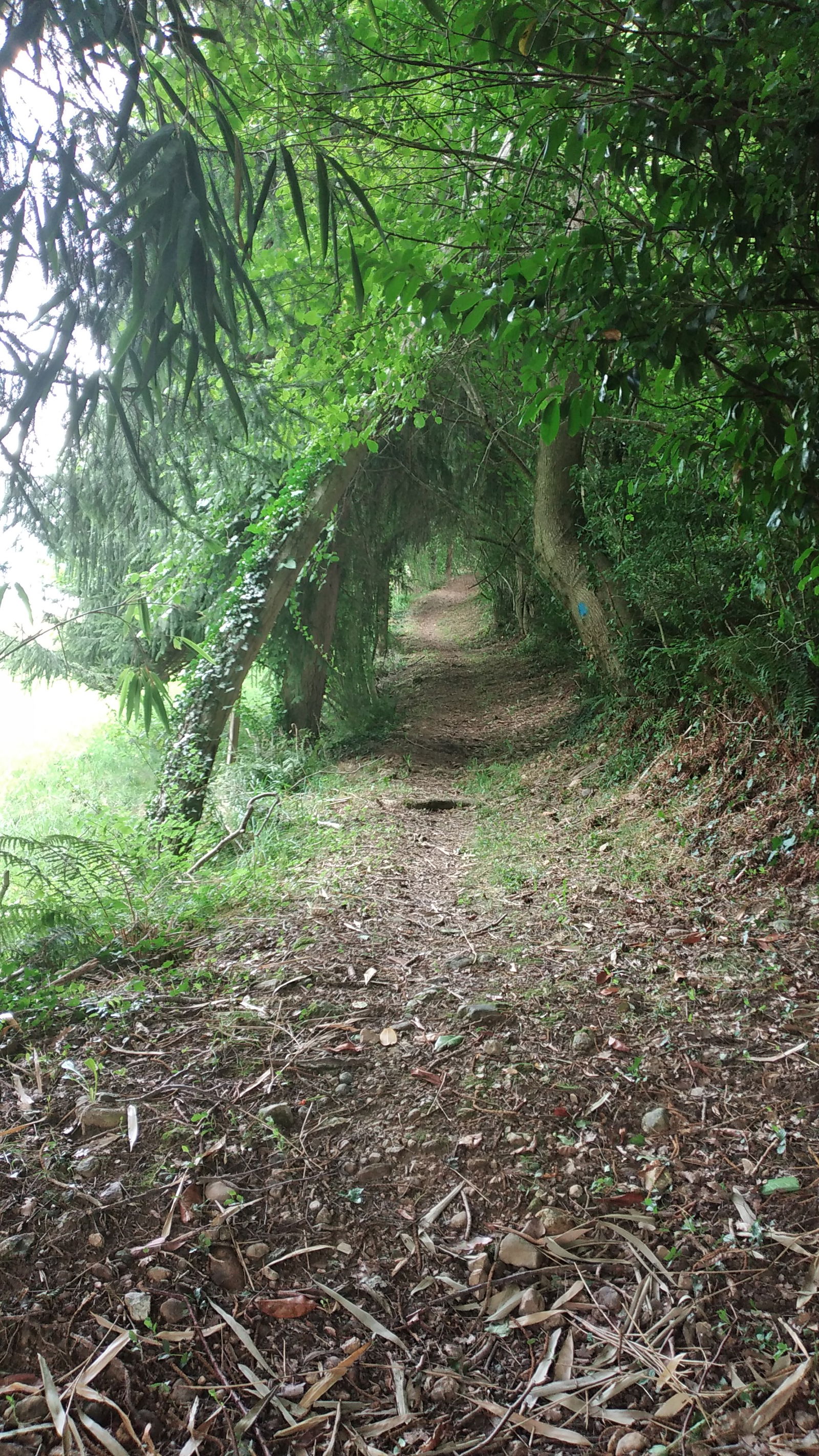 Niezależne Studio Saint-Girons 464700