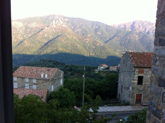 Niezależne Studio Olmiccia 54426