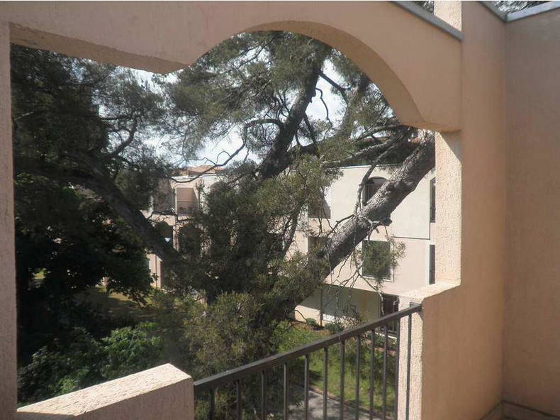 Homestay Montpellier 106588-2