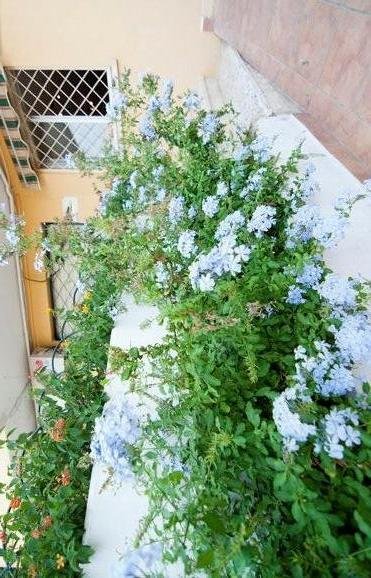 Studio Indépendant Málaga 183866