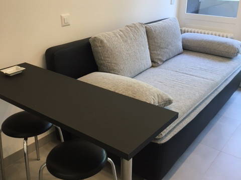 Entire Home Genève 247861-5