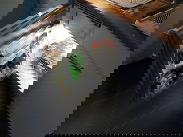 Logement Entier Juprelle 432455-4