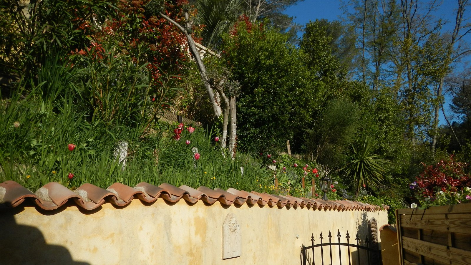 Oberoende Studio Cagnes-sur-Mer 249583
