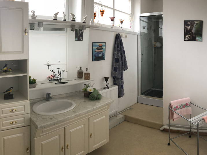 Colocation Roubaix 204139-3