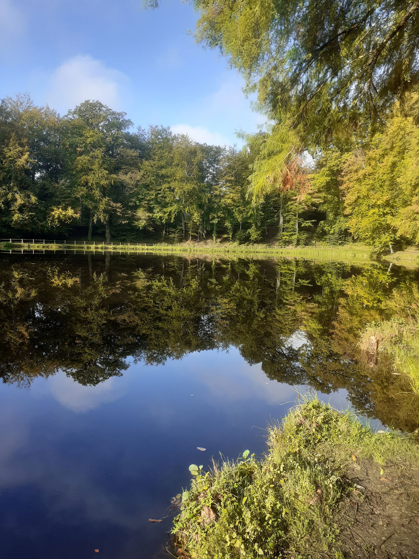 Camere Per Gli Ospiti Bellême 237483