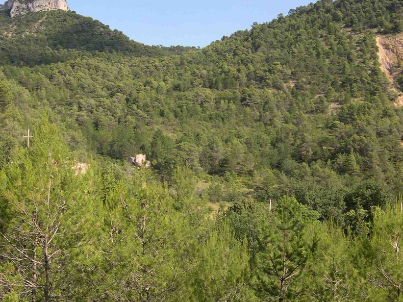 Chambres D'hôtes Propiac 70781-2