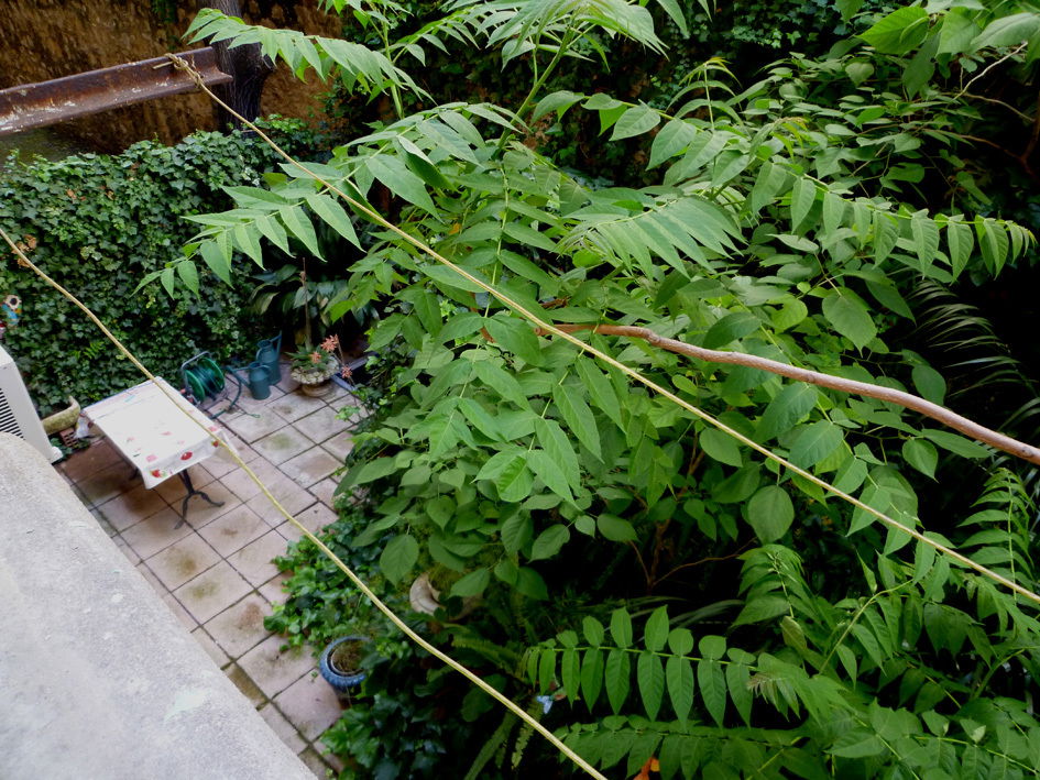 Homestay Toulon 81255