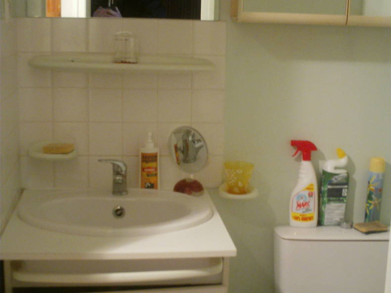 Logement Entier Quinssaines 150809-5