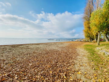 Homestay Préverenges 242775-10