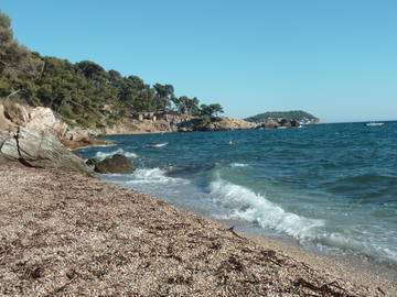 Logement Entier Toulon 67957-5