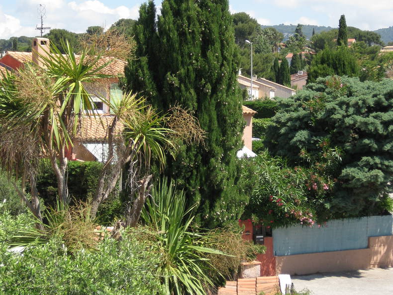 Gastfamilie Sanary-sur-Mer 120184-1